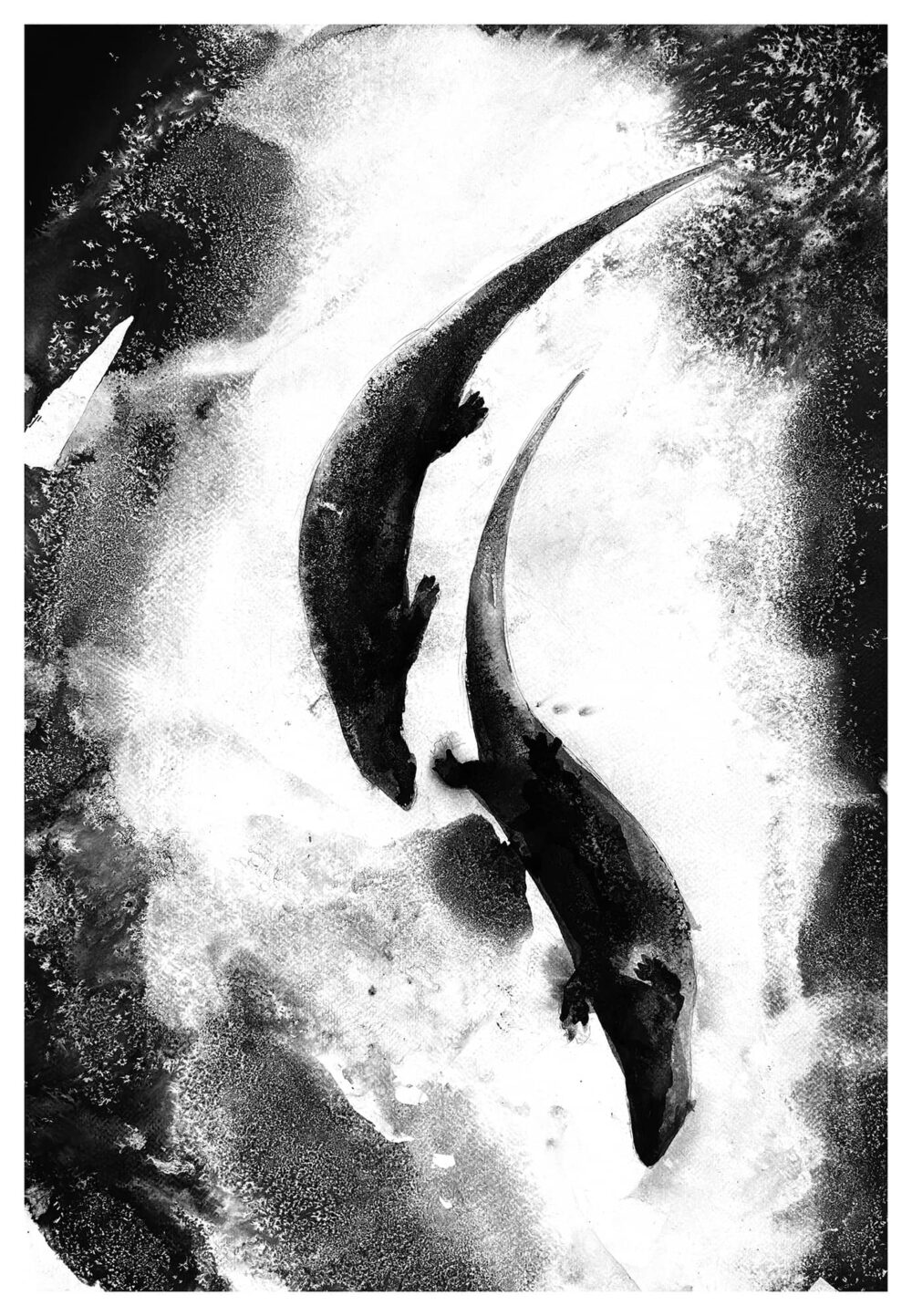 Diving Otters